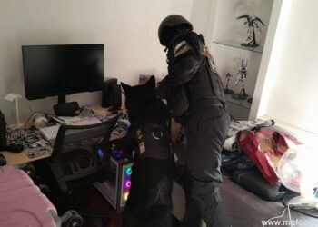 Incautaron drogas. Cocaína