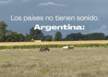 Los sonidos de nuestro país: si sos argentino los conocés de memoria