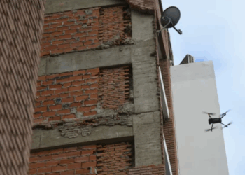 ¿Mala praxis en la construcción?/Platos Rotos