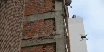 ¿Mala praxis en la construcción?/Platos Rotos