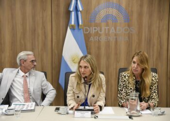 Moratoria previsional: se debatirá en un plenario de comisiones