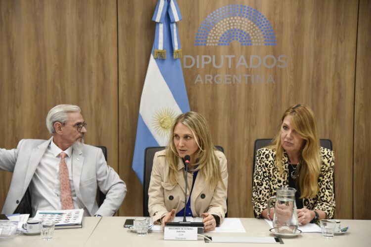 La titular de la Comisión de Previsión y Seguridad Social, Gabriela Brouwer de Koning (centro).