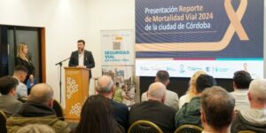 Mortalidad vial. Seguridad vial