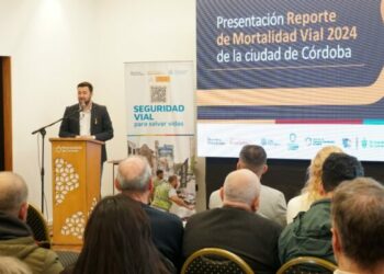 Mortalidad vial. Seguridad vial