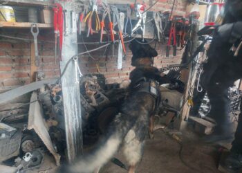 Fuerza Policial Antinarcotráfico.