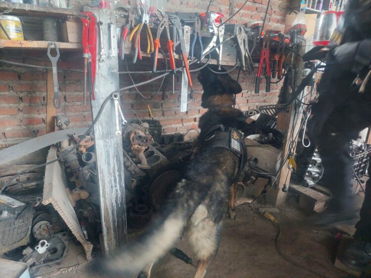 Fuerza Policial Antinarcotráfico.