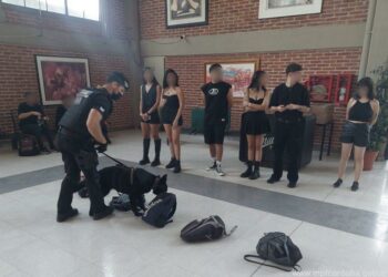 Fuerza Policial Antinarcotráfico. fiestas electrónicas