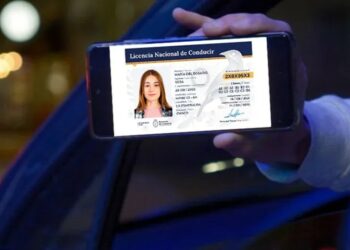 Paso a paso, cómo tramitar la nueva licencia digital para conducir