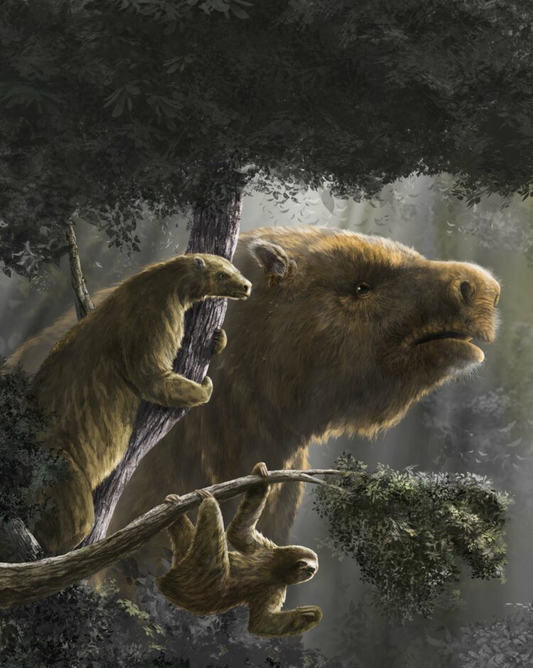 La evolución de los perezosos gigantes. Científicos del Conicet