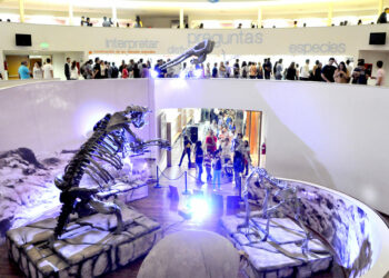 Por el Día de los Museos, las entradas serán gratuitas este domingo