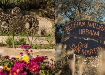 Pulmones verdes en Córdoba y escapadas cerca para conectar con la naturaleza