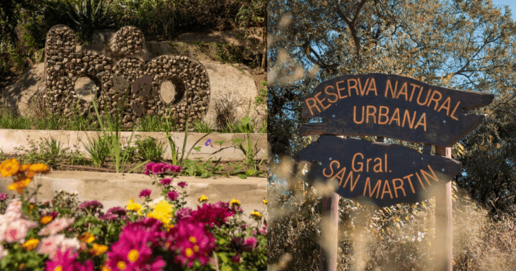 Desde grandes parques urbanos hasta reservas serranas a menos de dos horas de la ciudad, opciones para disfrutar de la naturaleza.