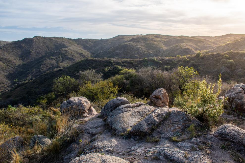 Pulmones verdes en Córdoba y escapadas cerca para conectar con la naturaleza Pulmones verdes en Córdoba y escapadas cerca para conectar con la naturaleza