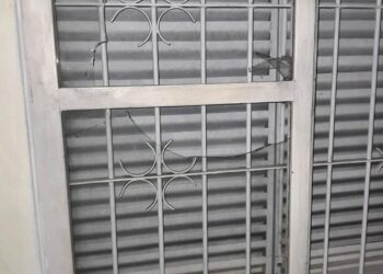 Repudian el “violento ataque de odio” contra una referente de Derechos Humanos