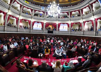 El Senado bonaerense debatirá la reelección indefinida de legisladores y concejales este jueves