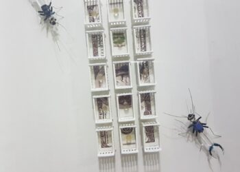 Últimos días para ver la muestra «20 años no es nada»