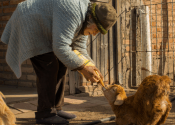 “Una provincia, muchas vejeces”. Noche de los Museos. Centro Cultural San Francisco.