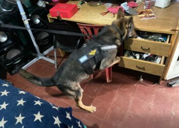 Villa Adela: una pareja narco vendía droga cerca de un colegio