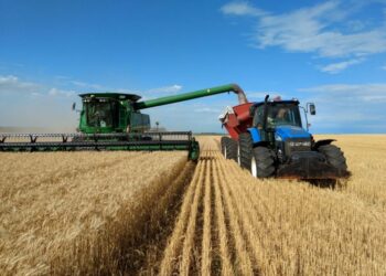 El Gobierno prorroga la baja de retenciones para el trigo y la cebada