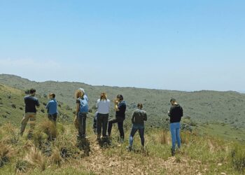 Aplican un herbicida para controlar especies invasoras en las sierras de Córdoba