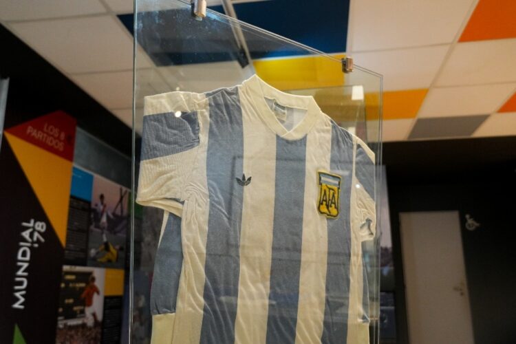 Camiseta