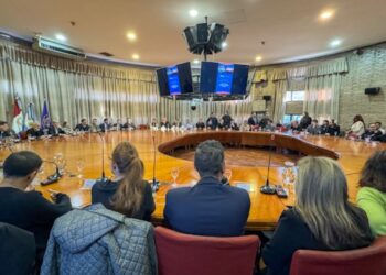 Las universidades públicas se reúnen hoy con diputados y senadores por Córdoba