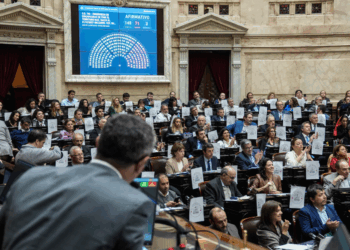 Emergencia en Discapacidad: Diputados aprobó el proyecto de ley y avanza al Senado