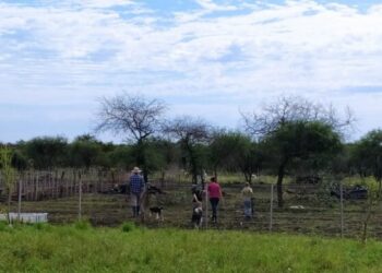 Ordenan al Estado provincial a dar acceso a información sobre un campo expropiado