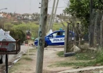 Causa Marketplace-La Lonja.