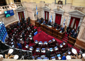 El Senado vota el rechazo al veto de la emergencia en discapacidad