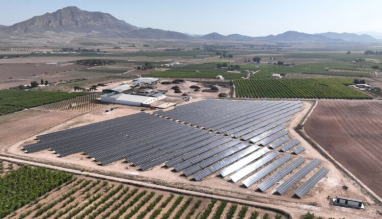 La generación de energía solar toma nuevo impulso en Córdoba.
