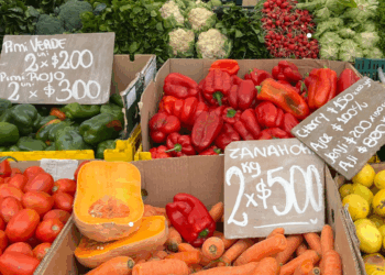 UNC convoca a un taller sobre producción de alimentos y salud en el territorio cordobés