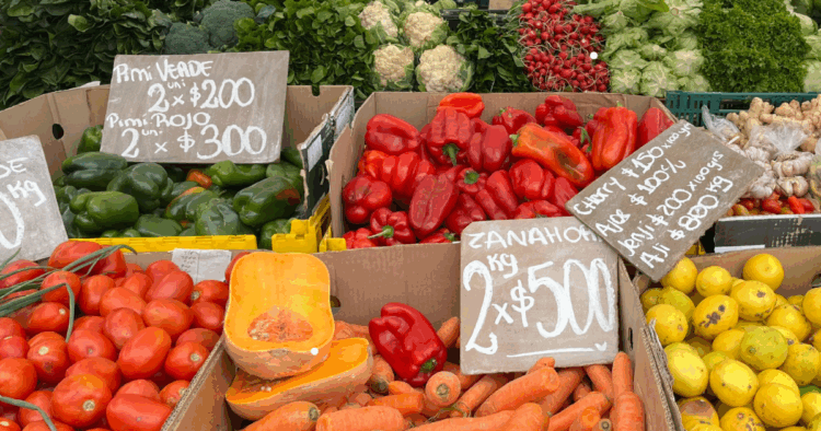 UNC convoca a un taller sobre producción de alimentos y salud en el territorio cordobés