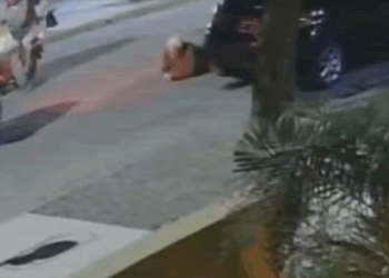 Robo en barrio Yofre. Motochorros