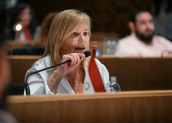 Concejales radicales reclaman declarar la emergencia habitacional