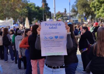 Ley de emergencia en discapacidad: marchas en todo el país en apoyo al proyecto