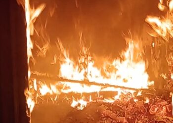 Un incendio destruyó una habitación y provocó la muerte de una mascota