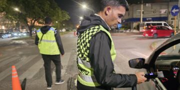 La reincidencia de faltas ambientales o al volante sería penada con hasta 15 días de prisión
