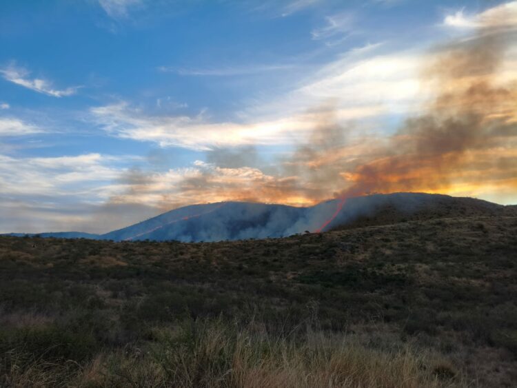 El fuego se inició cerca de las 19 horas del miércoles.