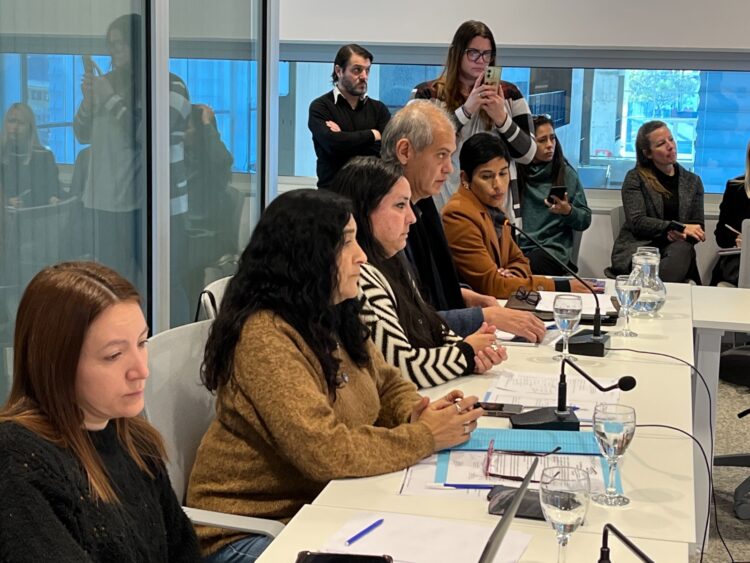 Comisión de Desarrollo Social y Derechos Humanos del Concejo Deliberante.