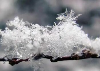 La ciudad de Córdoba amaneció con nevadas