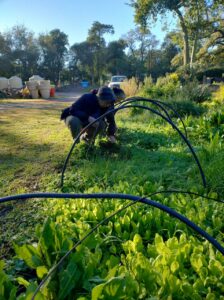 Del saber a la tierra: La Verdolaga, una “huerta escuela” comunitaria
