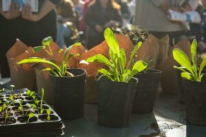 Del saber a la tierra: La Verdolaga, una “huerta escuela” comunitaria