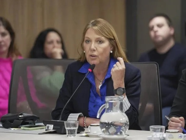 Alejandra Torres, diputada por Encuentro Federal.