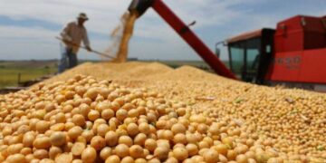 Productores del campo advirtieron al Gobierno sobre la suba de retenciones