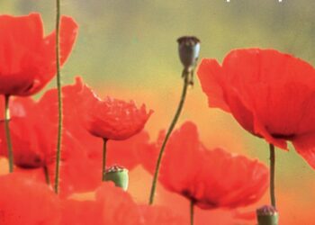 El Colegio de escribanos presenta la exposición del artista Carlo Picone