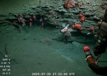 Científicos argentinos del Conicet transmiten en vivo a 3.900 metros de profundidad