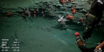Científicos argentinos del Conicet transmiten en vivo a 3.900 metros de profundidad