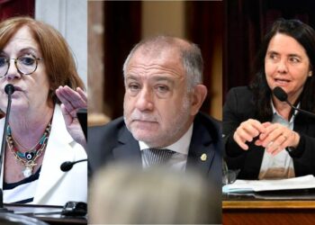 Cómo votaron los senadores cordobeses cada proyecto aprobado en el Congreso