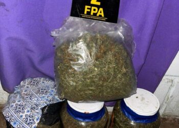 Se logró el secuestro de 3.704 dosis de marihuana, 1.914 de cocaína, entre otros elementos. Narco